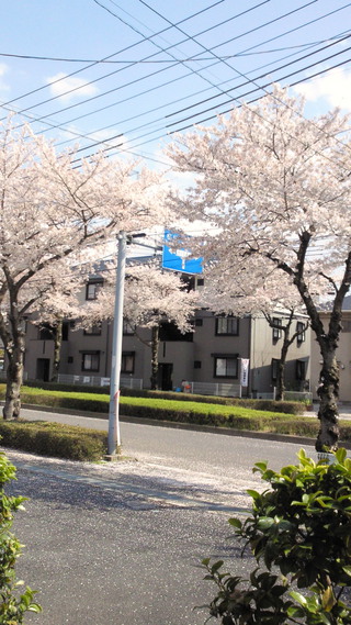 4月初め 4月初め