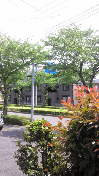 5月 5月