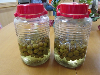 ume3 ume3
