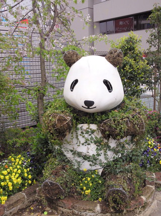 かわいさに思わずパチリ かわいさに思わずパチリ