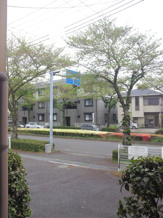 つつじわかりますか? つつじわかりますか?