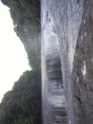 頭を横にして見て 顔を横にして見て