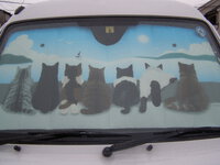 海に浮かぶヨットを見る七人のネコちゃん。