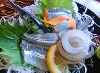 東広島市安芸津町 海の前の台所 凪の蔵 旬の春告魚 サヨリの刺身