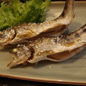 北の屋台にて
