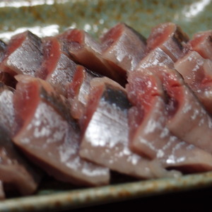 三陸に少し魚が帰ってきた