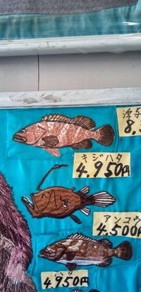 本日の一押し、オリジナル刺しゅう、岡本洋品店、高級魚『キジハタ』です。
