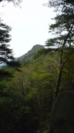 レイノアートスクールの登山講座で北広島の大掛山を登ってきました