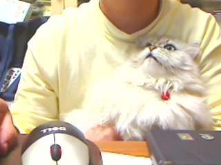 ウエブカメラ